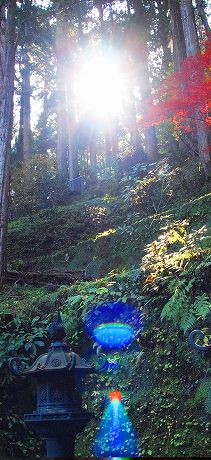パワースポット「日光東照宮」